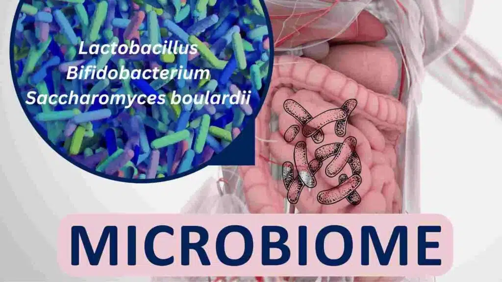 Good Microbiome For Healthy Gut