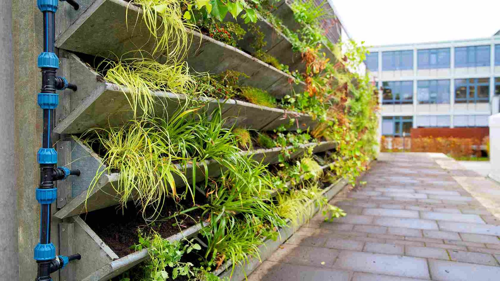 Vertical Gardening