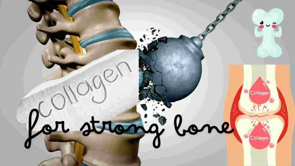 Collagen for strong bone